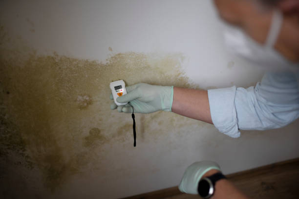 Sheridan, AR Mold Remediation Company